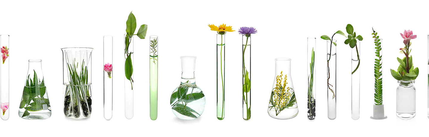 ingred-global-standards-banner-1