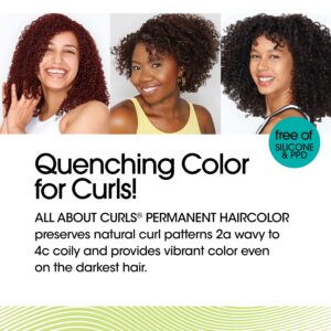 All About Curls® Quenching Permanent Haircolor For Curls – Black Shades