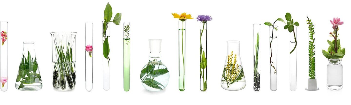 ingred-global-standards-banner 2