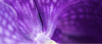 ingredients-main-hero_2864e742-e150-49f9-81ea-1854647a1899 1