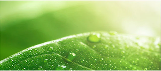 ingredients-main-hero_2864e742-e150-49f9-81ea-1854647a1899 2