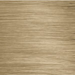 10N Lightest Natural Blonde - Variant Description Image