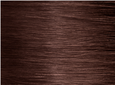 6WB Dark Warm Beige Blonde - Variant Description Image
