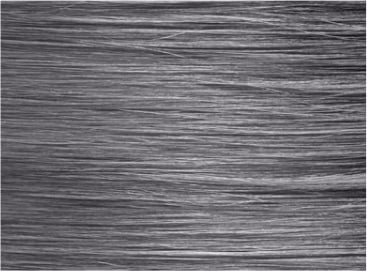 8BA Blue Ash Blonde - Variant Description Image