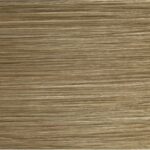 9N Light Natural Blonde - Variant Description Image